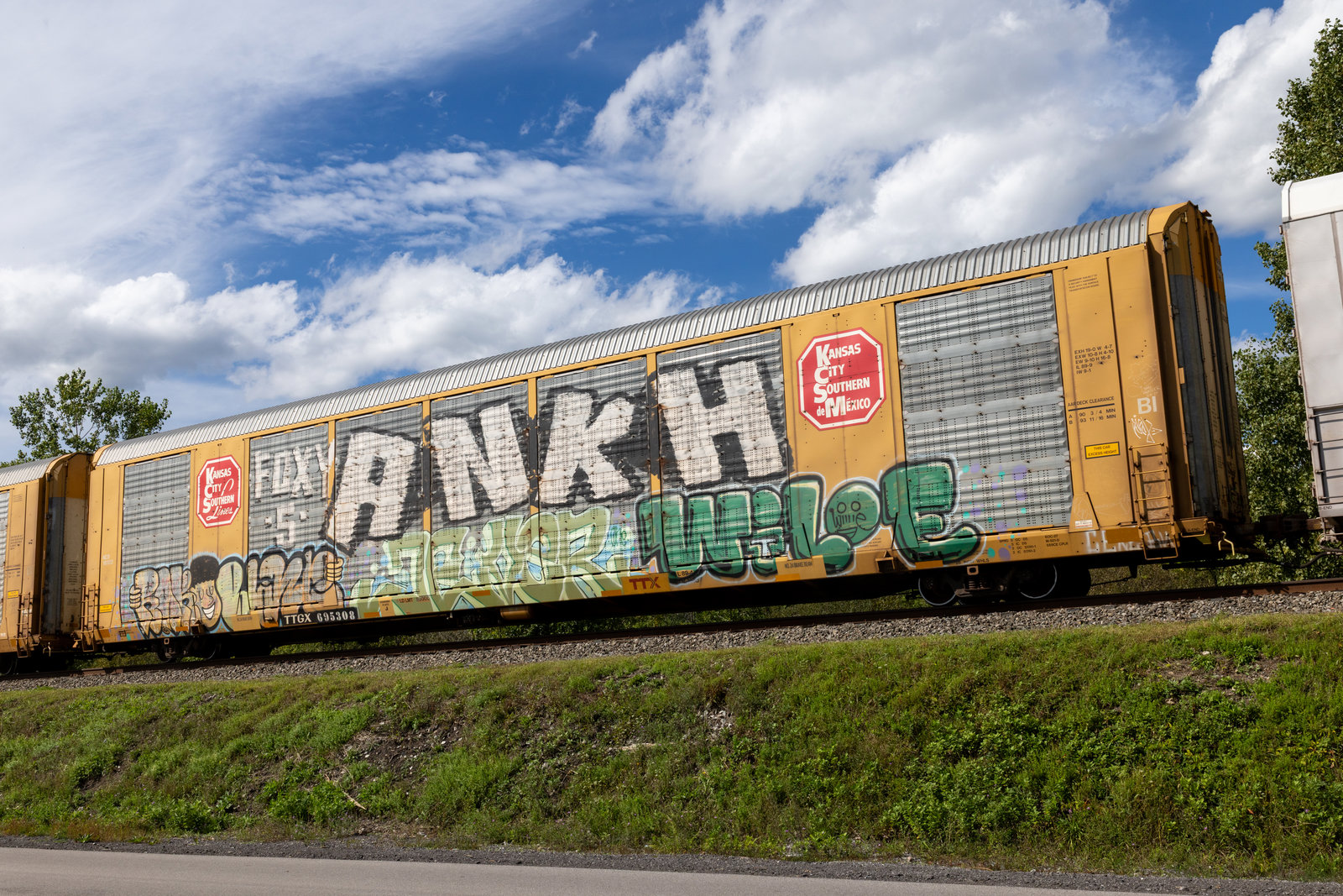 TTGX 695308