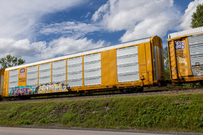 TTGX 823356