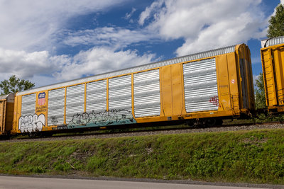 TTGX 698705