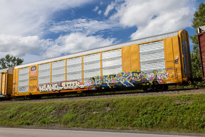 TTGX 699334