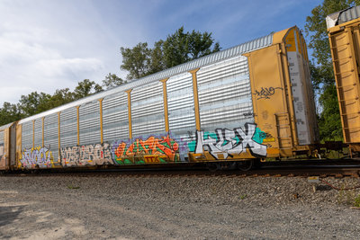 TTGX 717244