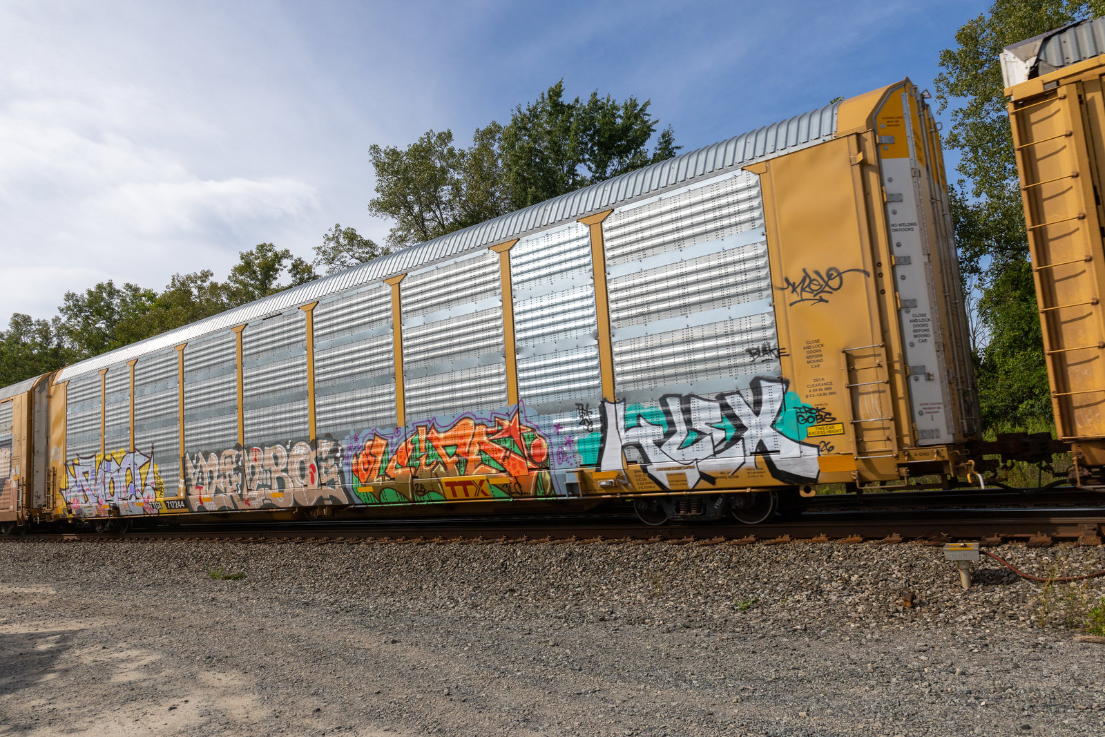 TTGX 717244