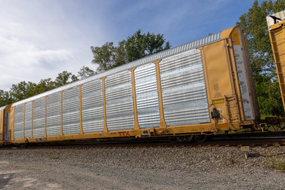 TTGX 717254