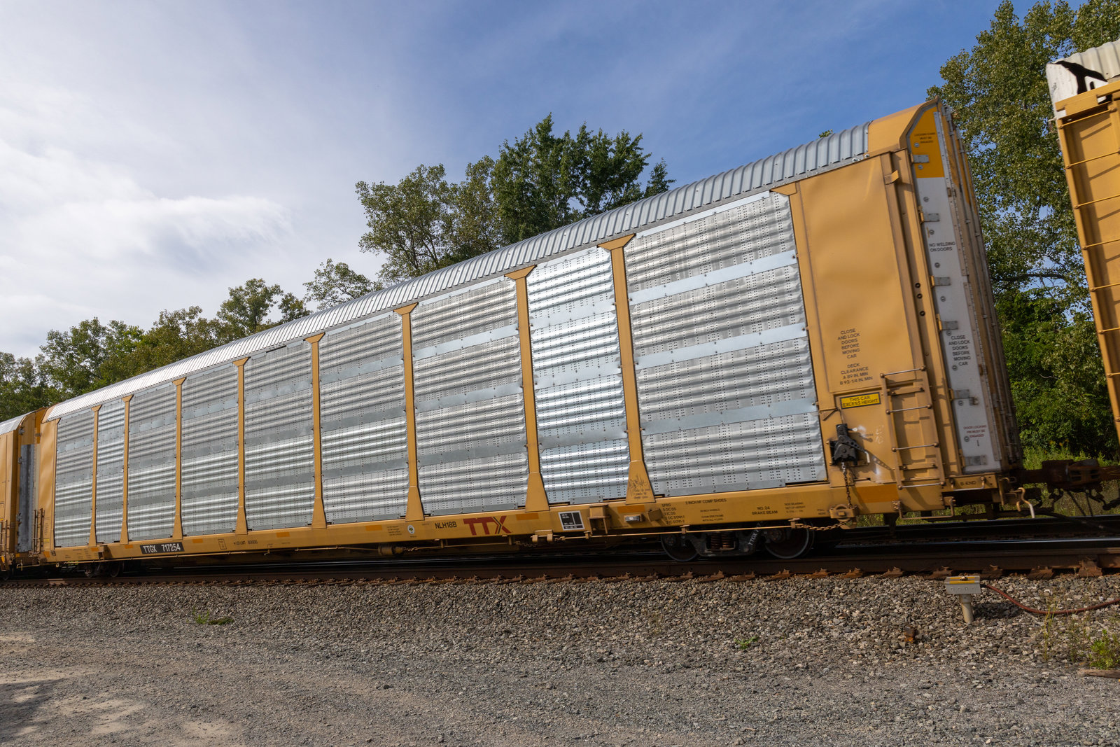 TTGX 717254