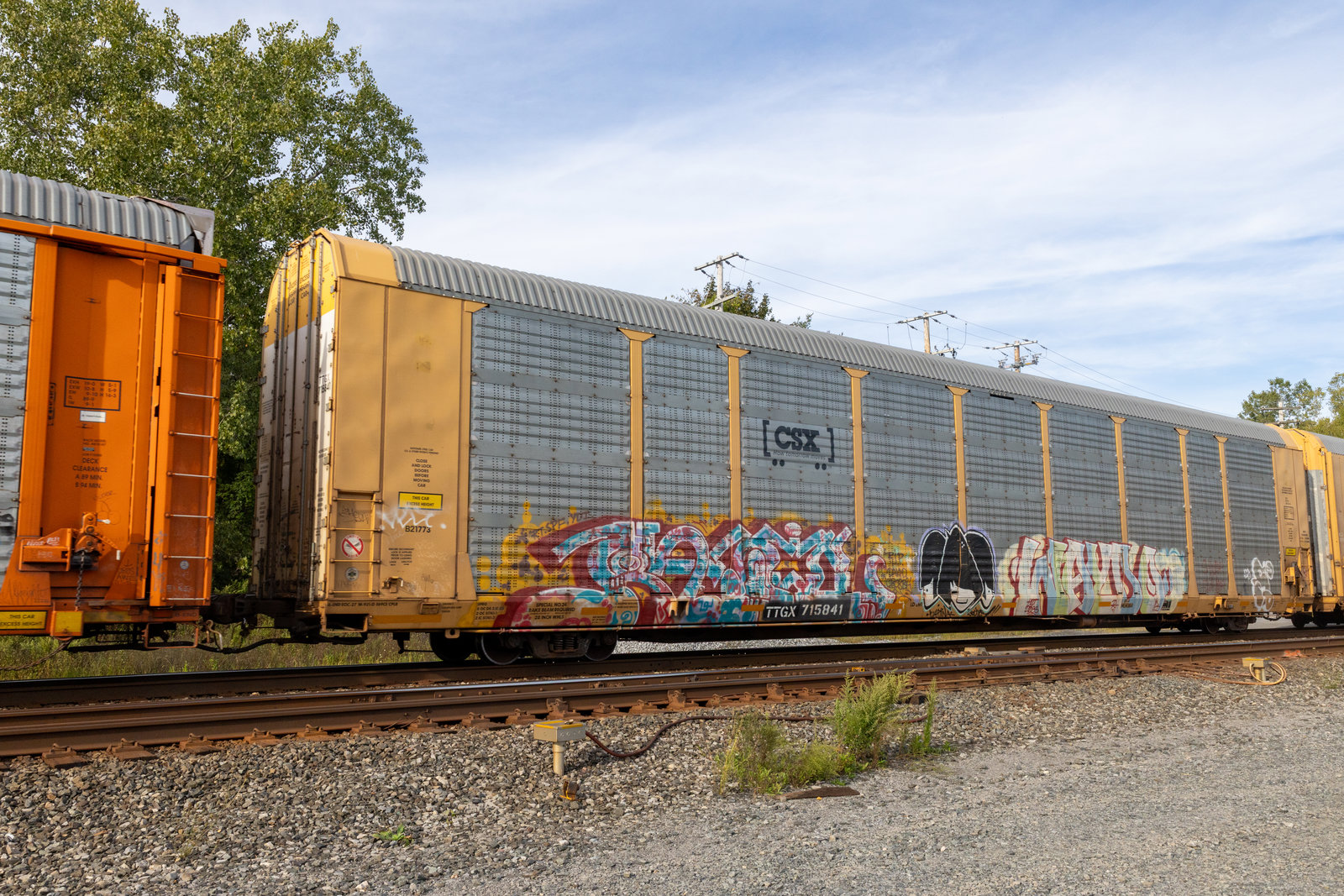 TTGX 715841