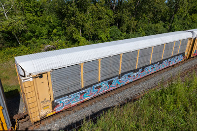 TTGX 254834
