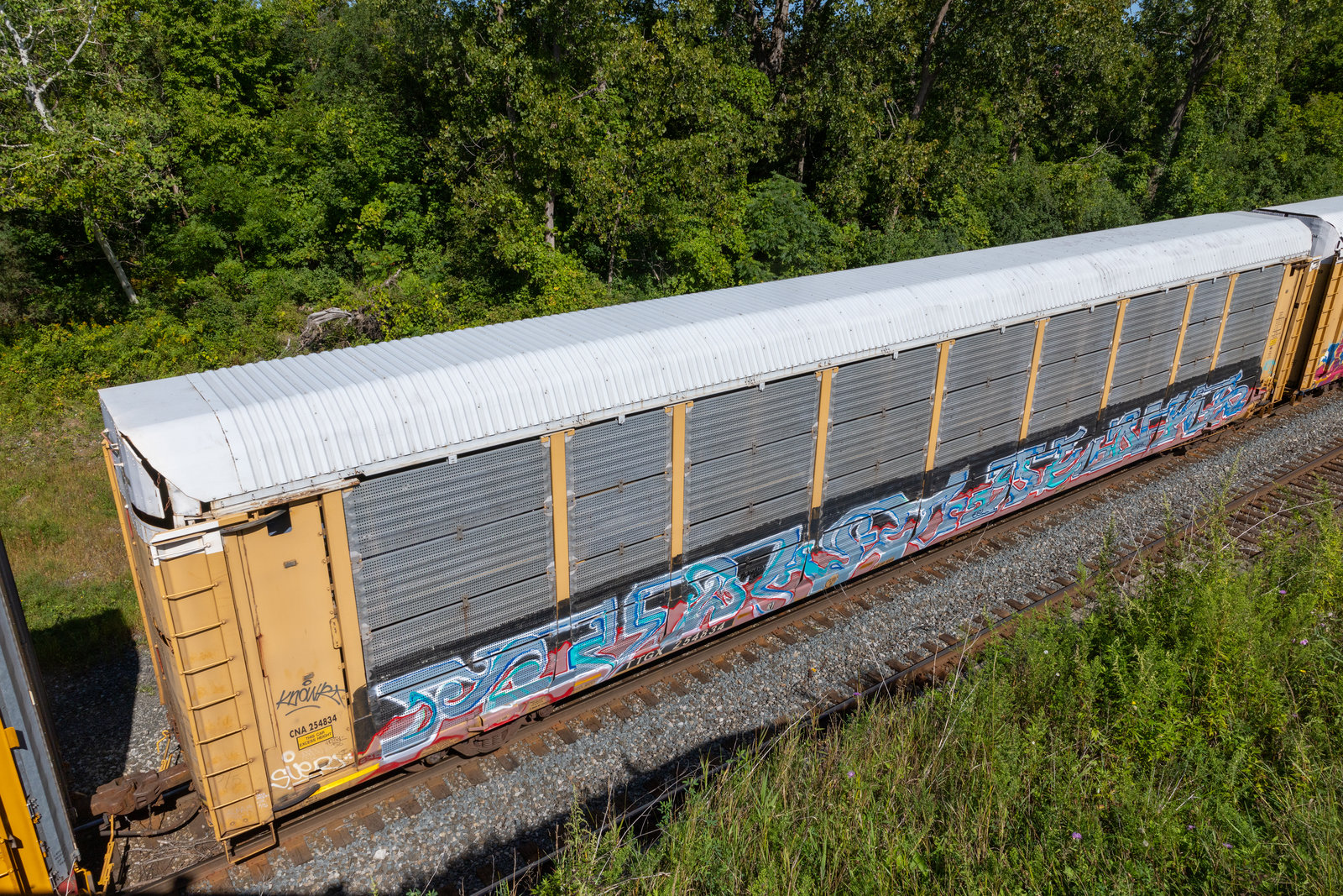 TTGX 254834
