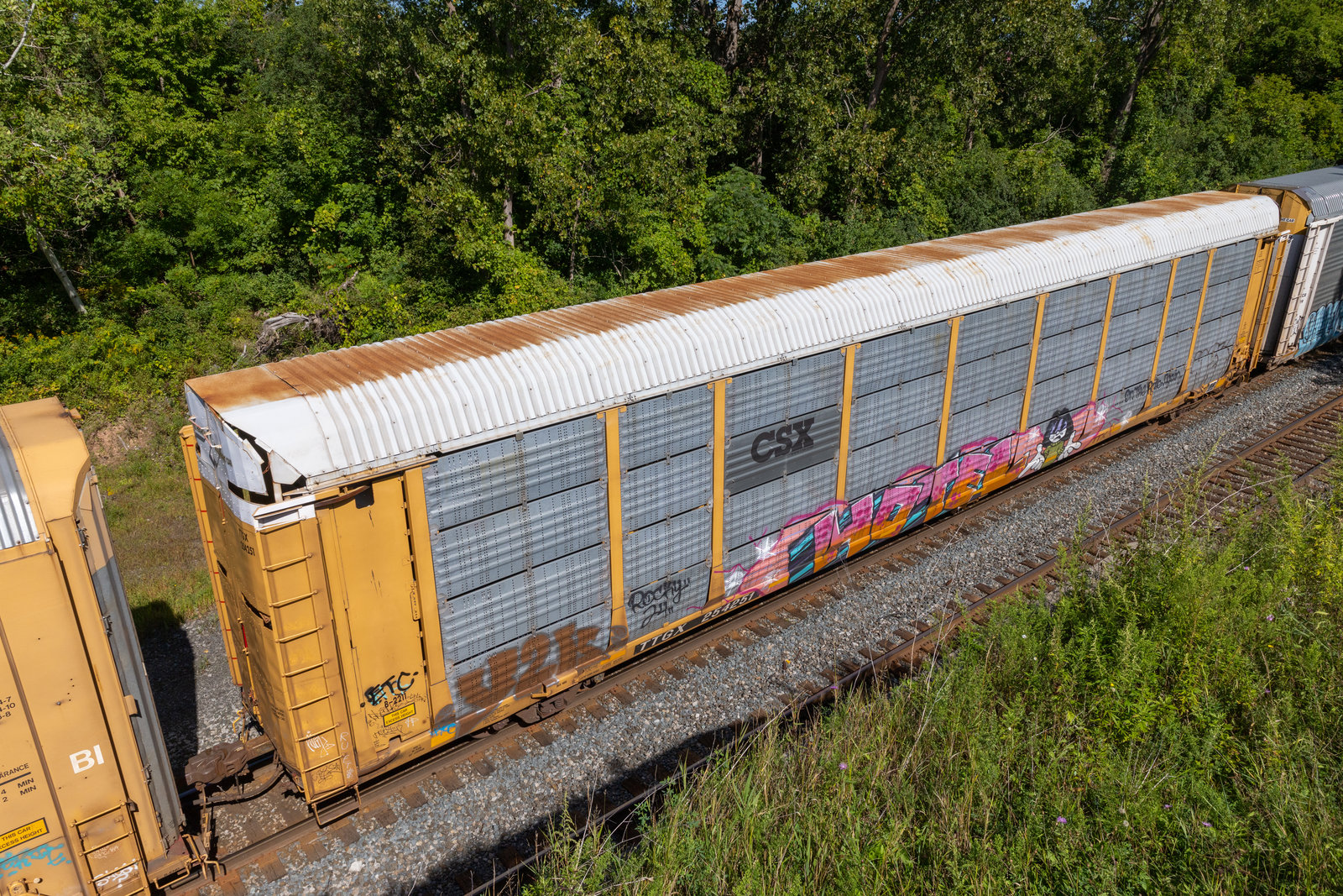 TTGX 254251