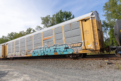 TTGX 963497