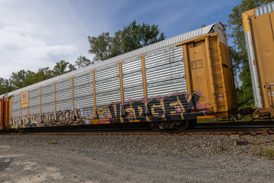 TTGX 991421