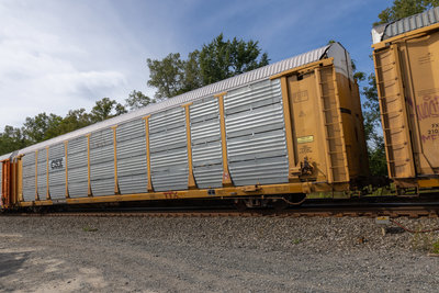 TTGX 990365