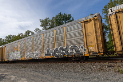 TTGX 985472