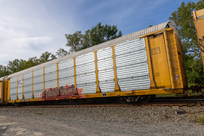 TTGX 990451