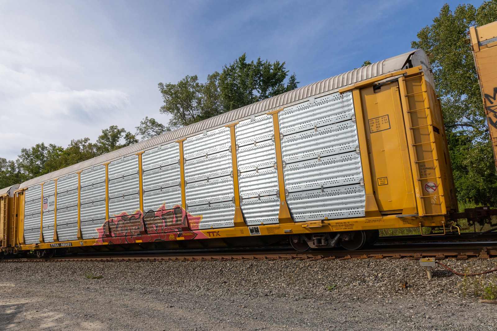TTGX 990451
