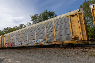 TTGX 942798