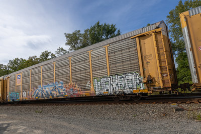 TTGX 988213