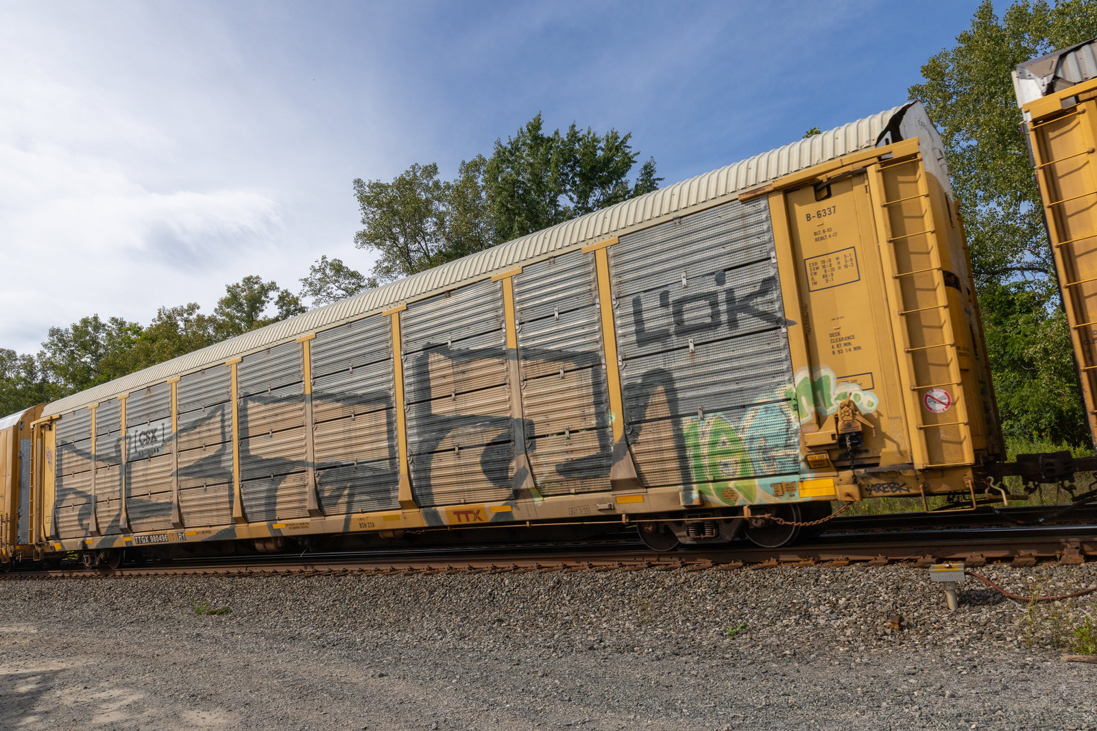 TTGX 980496