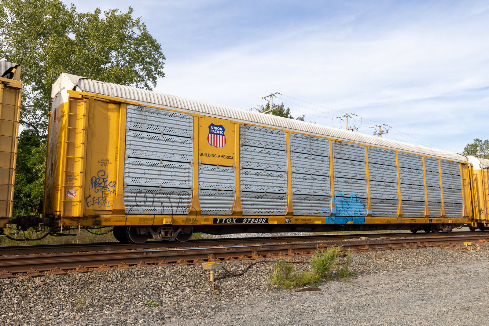 TTGX 978498
