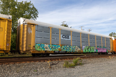 TTGX 985631