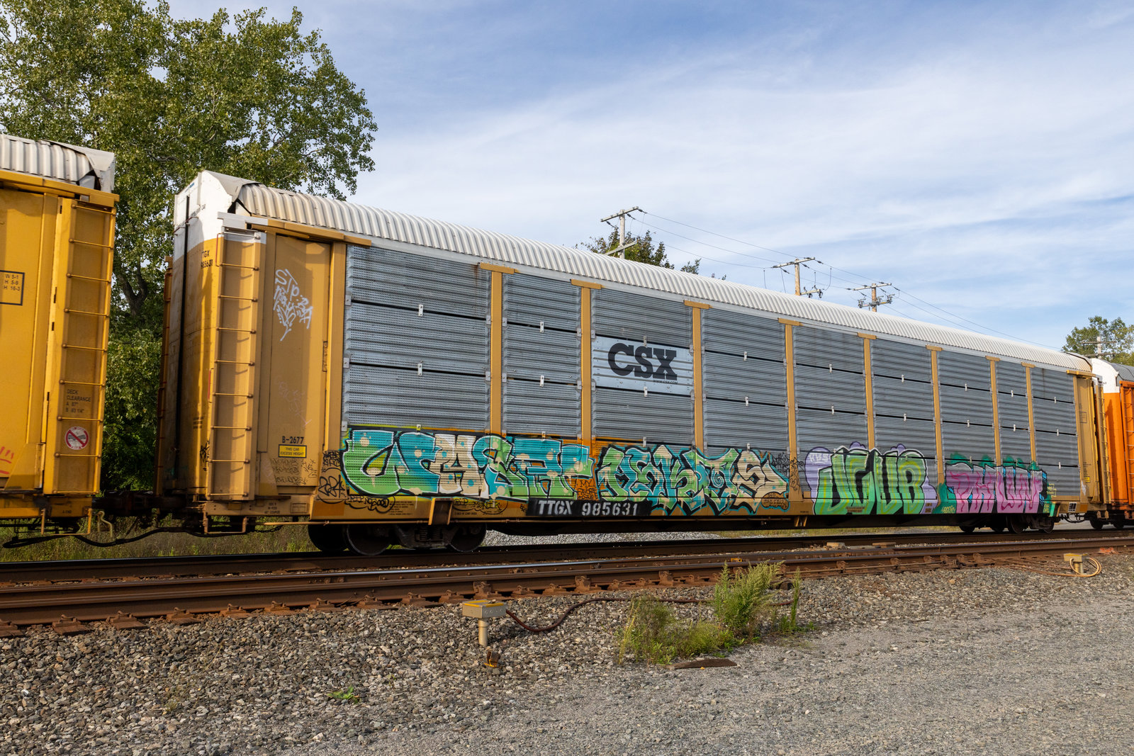 TTGX 985631