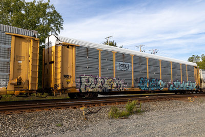 TTGX 965520