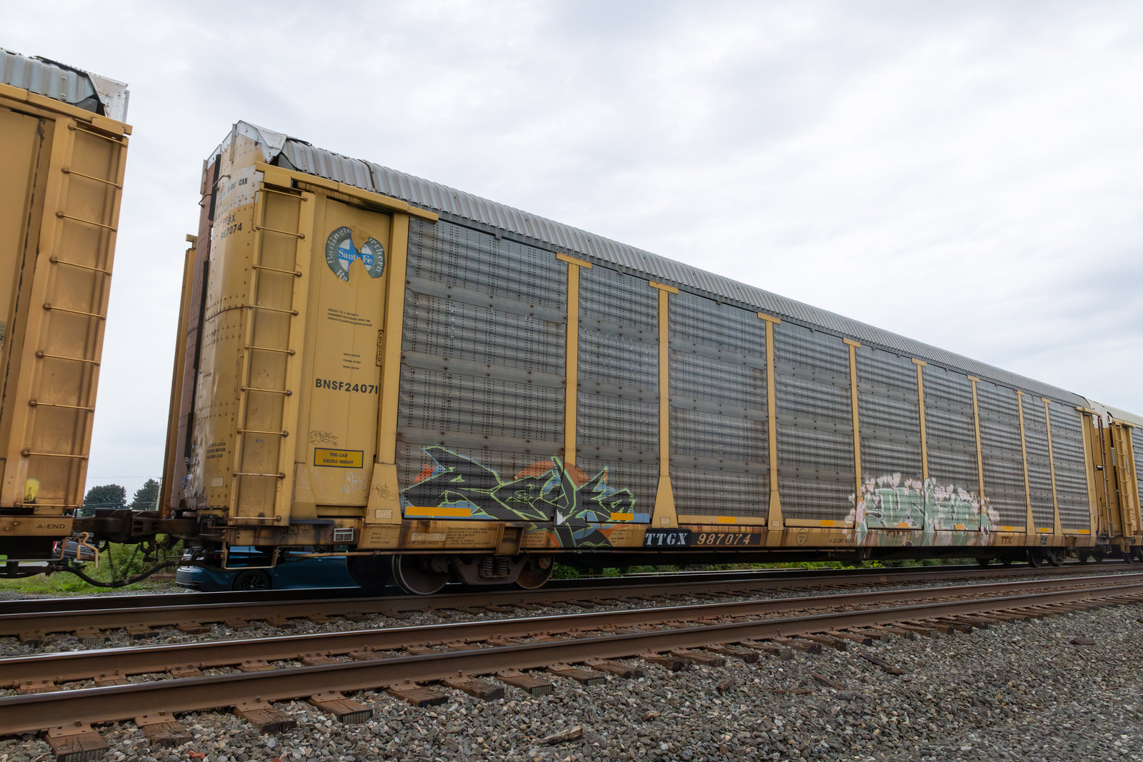 TTGX 987074