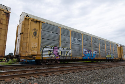 TTGX 942718