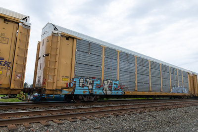 TTGX 974403