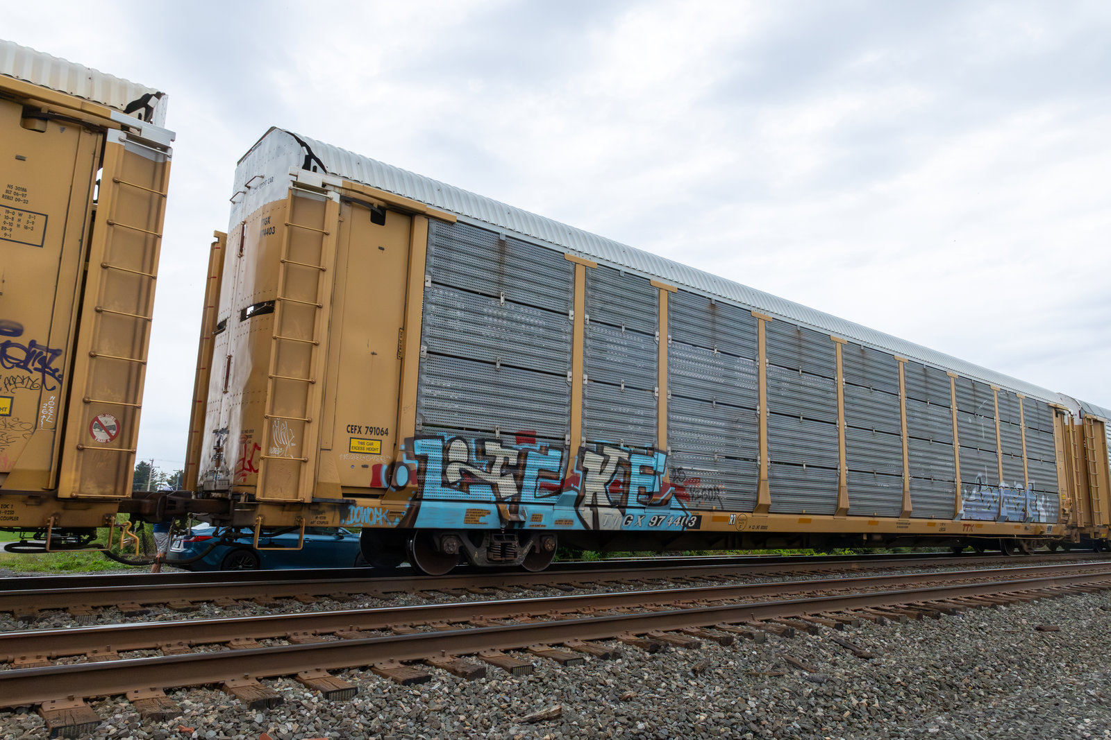 TTGX 974403