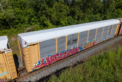 TTGX 942729