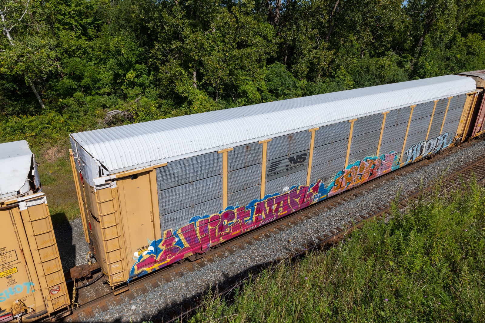 TTGX 942729
