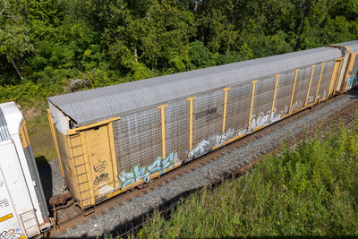 TTGX 993551