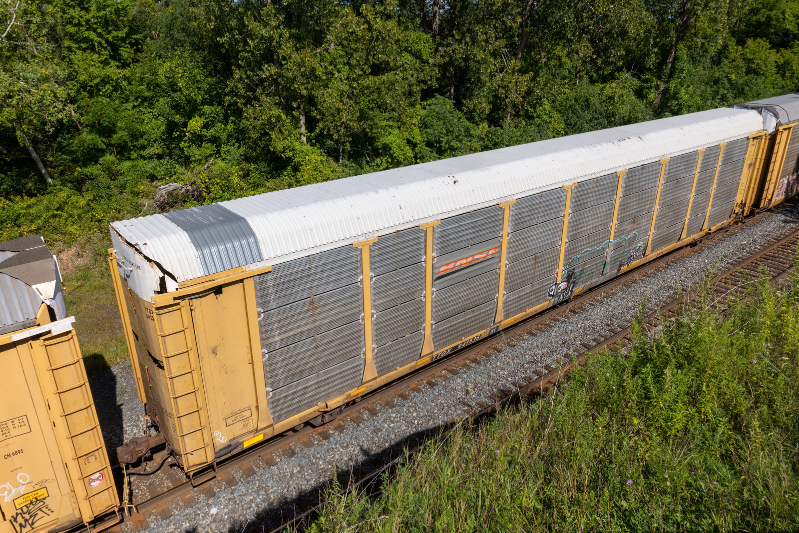 TTGX 941536