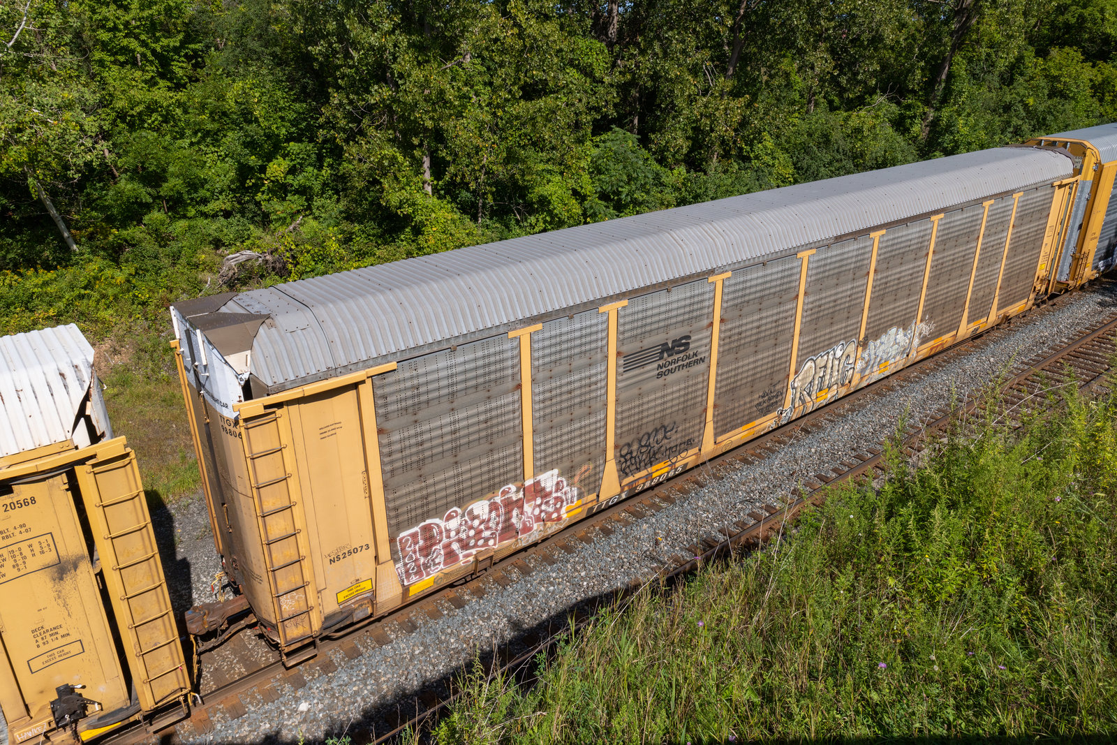 TTGX 988065