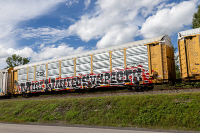 TTGX 991335