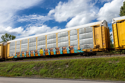 TTGX 975563