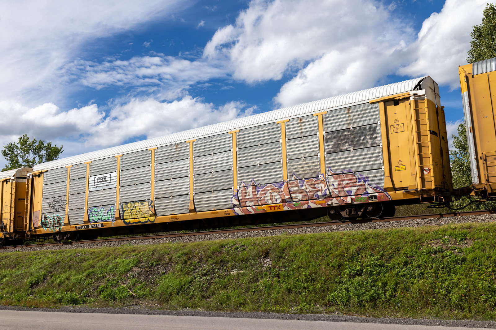 TTGX 971750