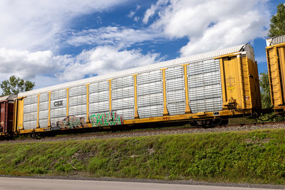 TTGX 973953