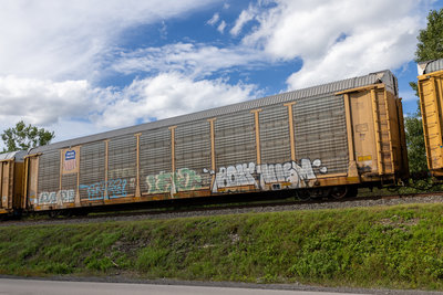 TTGX 994490