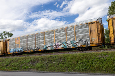 TTGX 922203