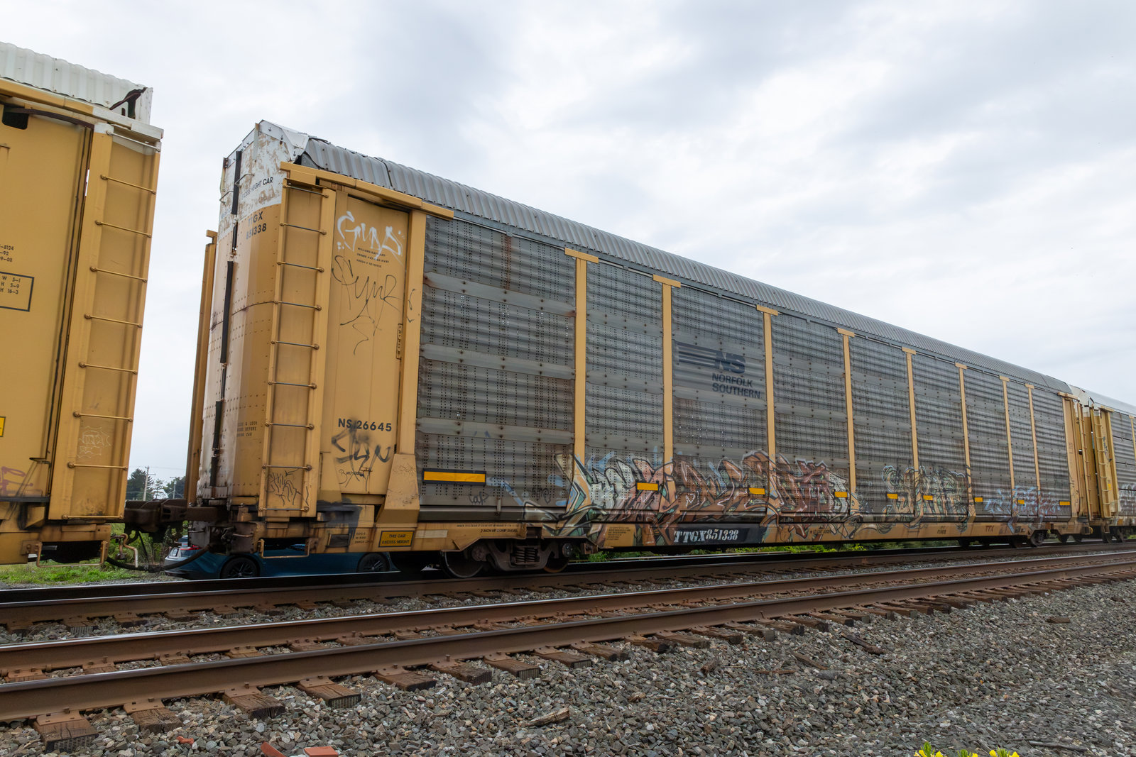 TTGX 851338
