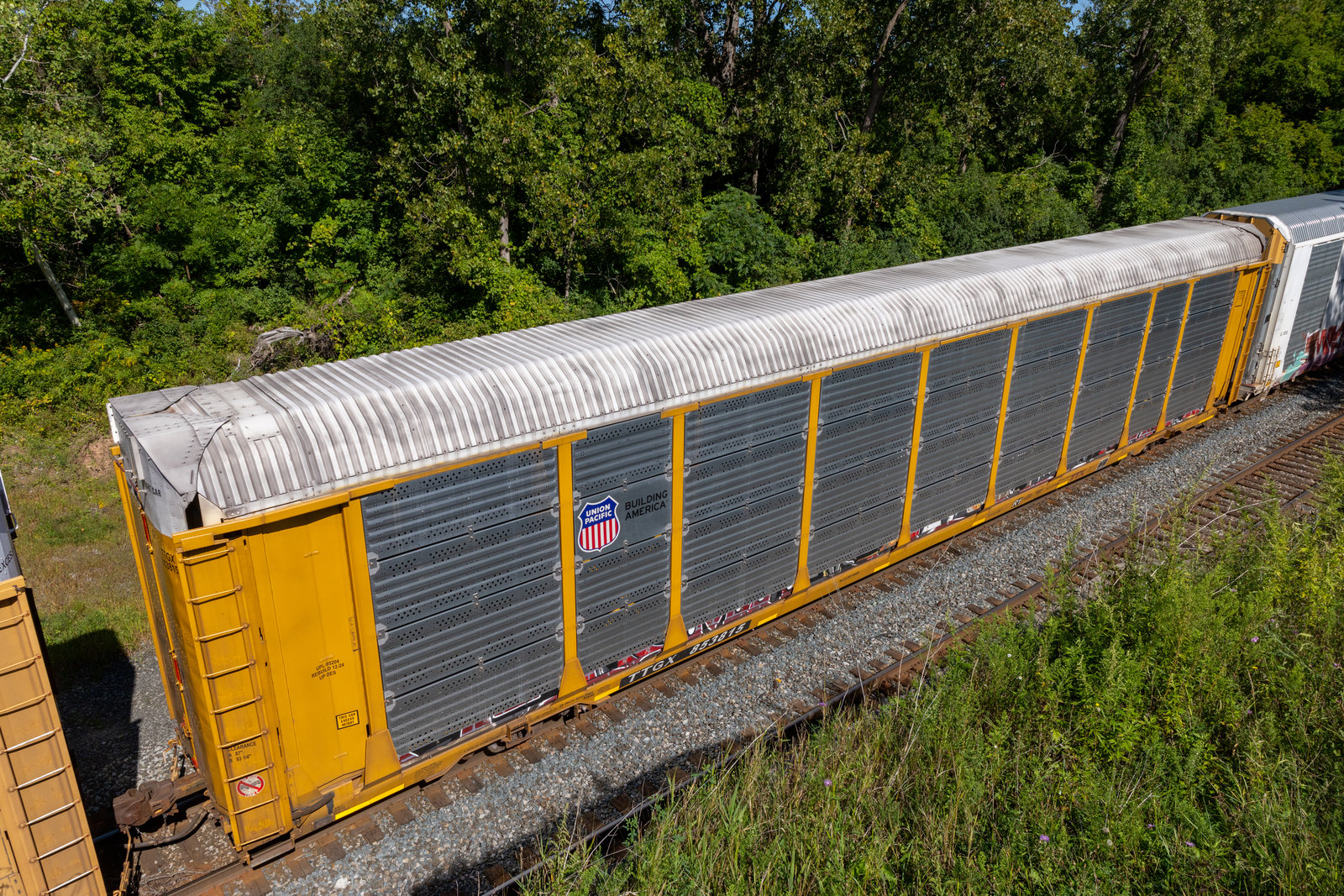 TTGX 853815