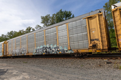 TTGX 982244