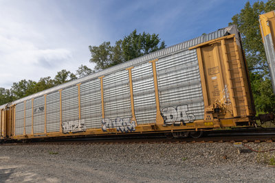 TTGX 706982