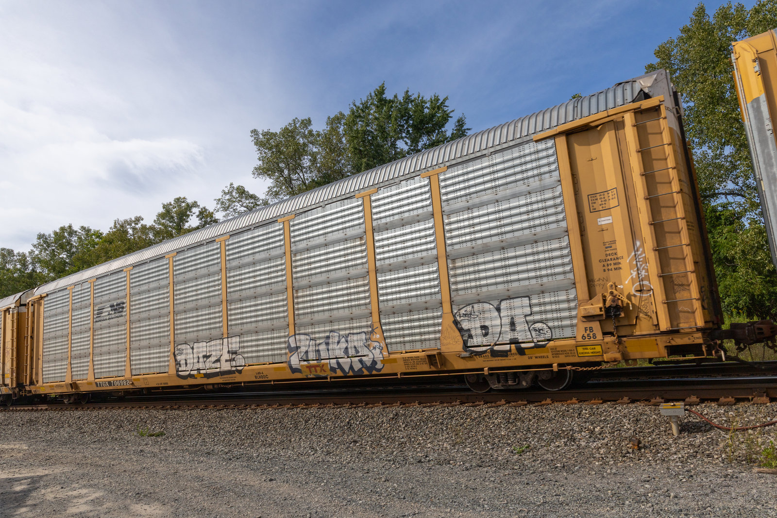 TTGX 706982