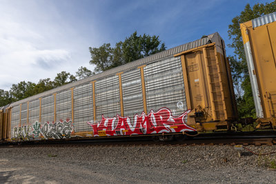 TTGX 702685