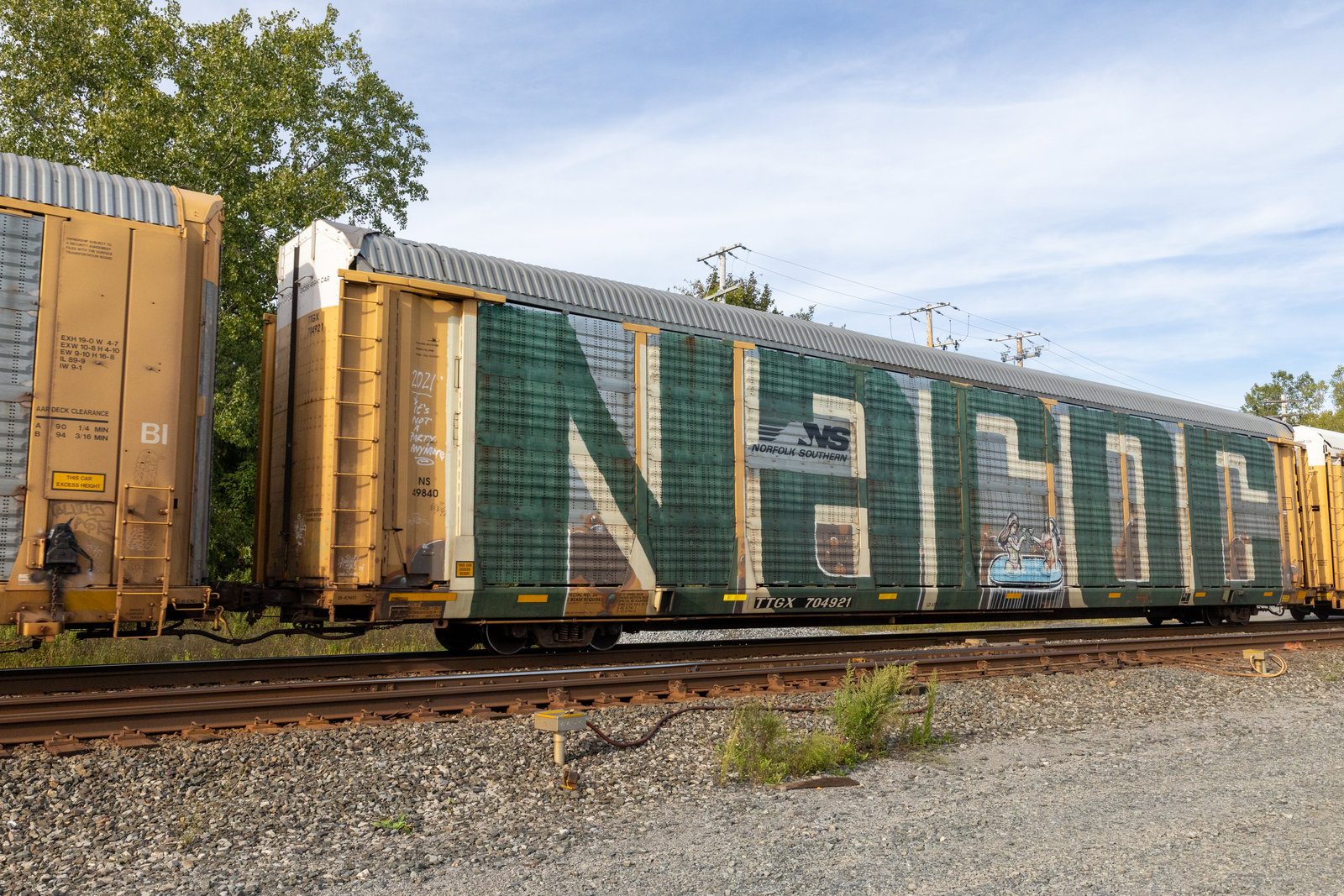 TTGX 704921
