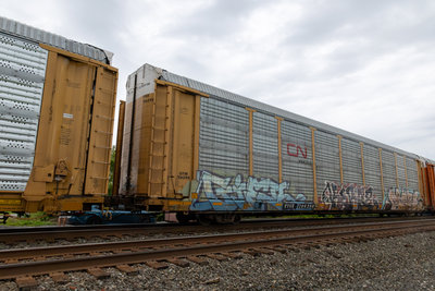 TTGX 706290