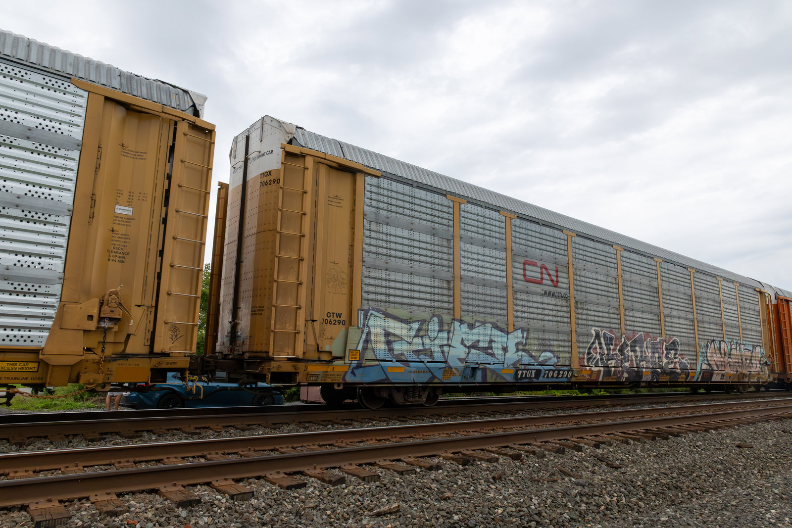 TTGX 706290