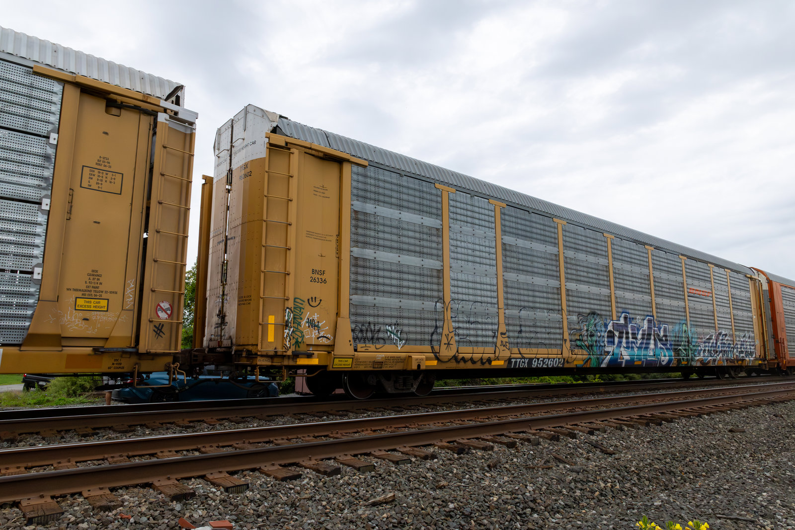 TTGX 952602